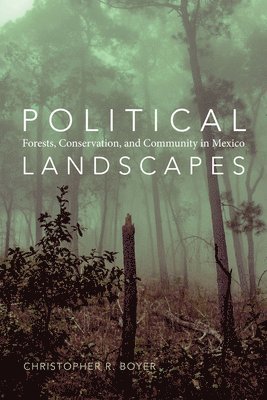 Christopher R. Boyer, Christopher R Boyer - Political Landscapes, Inbunden