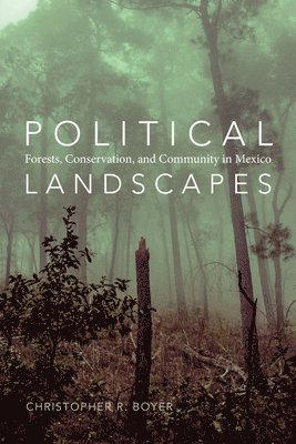 Political Landscapes 1