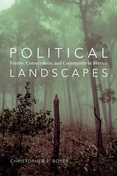 Christopher R. Boyer - Political Landscapes, Häftad