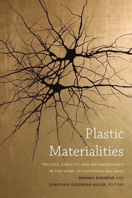 bokomslag Plastic Materialities