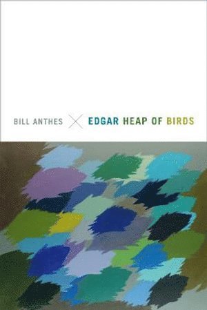 bokomslag Edgar Heap of Birds