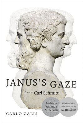 Janus's Gaze 1