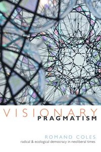 bokomslag Visionary Pragmatism