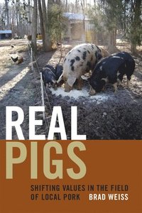 bokomslag Real Pigs