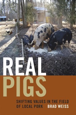 Real Pigs 1