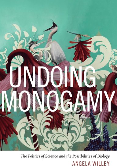 bokomslag Undoing Monogamy