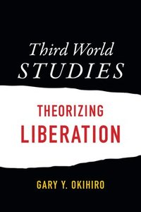 bokomslag Third World Studies