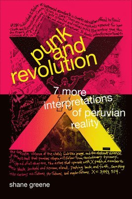 Shane Greene - Punk and Revolution, Inbunden