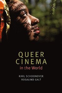 bokomslag Queer Cinema in the World