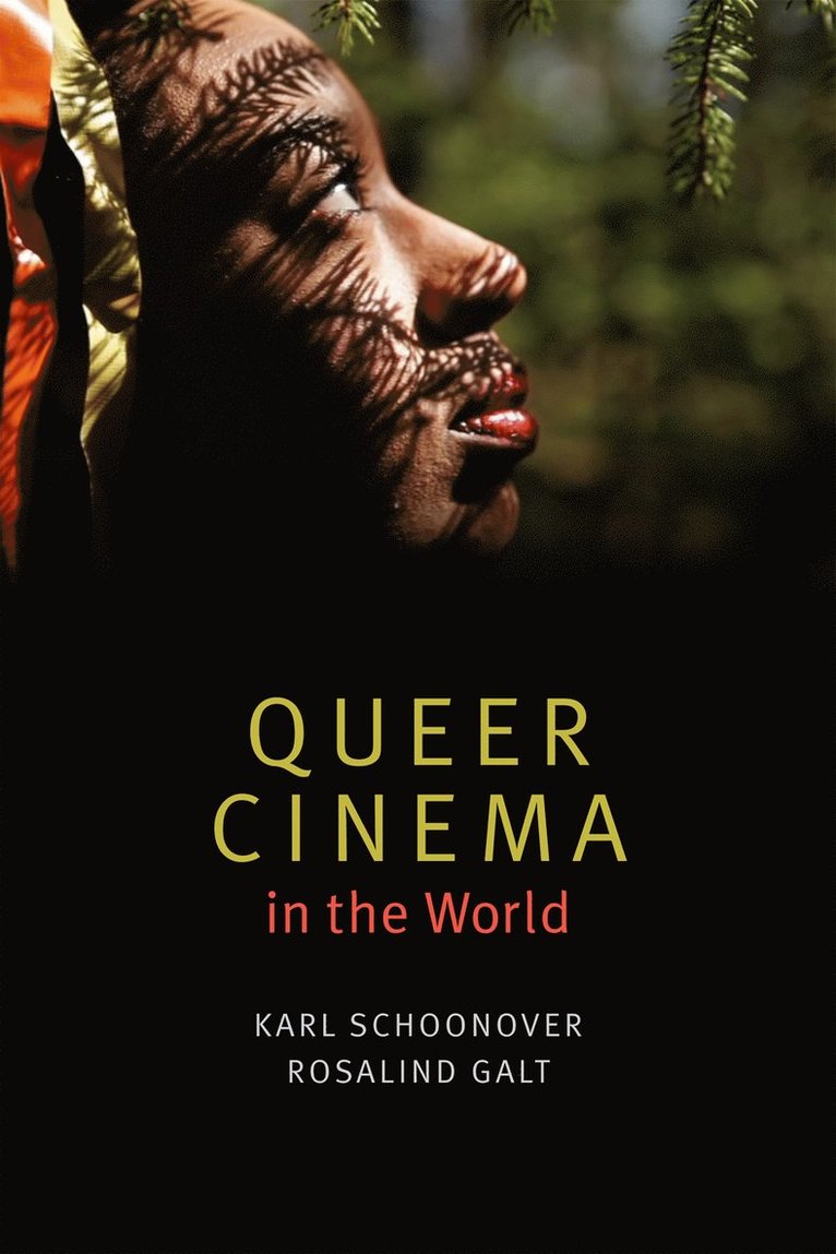Karl Schoonover, Rosalind Galt - Queer Cinema in the World, Häftad