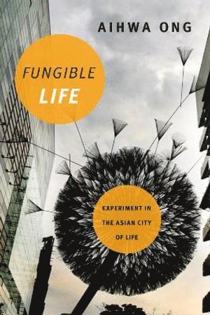 bokomslag Fungible Life