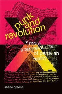 bokomslag Punk and Revolution