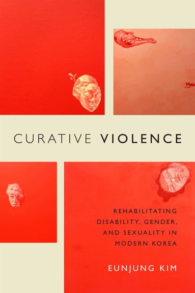 Eunjung Kim - Curative Violence, Häftad