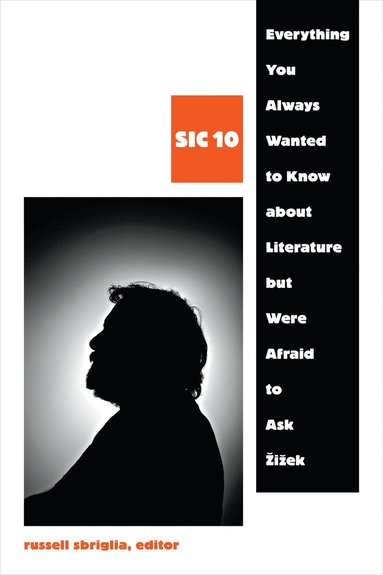 bokomslag Everything You Always Wanted to Know About Literature but Were Afraid to Ask ?i?ek