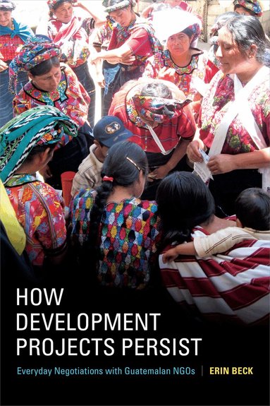 Erin Beck - How Development Projects Persist, Häftad