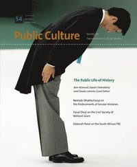 bokomslag The Public Life of History