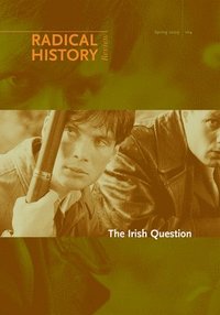 bokomslag The Irish Question