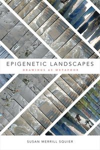 bokomslag Epigenetic Landscapes
