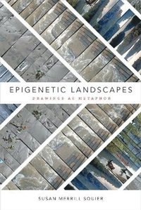 bokomslag Epigenetic Landscapes