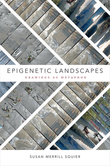 Susan Merrill Squier - Epigenetic Landscapes, Inbunden