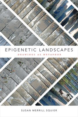 Susan Merrill Squier - Epigenetic Landscapes, Häftad