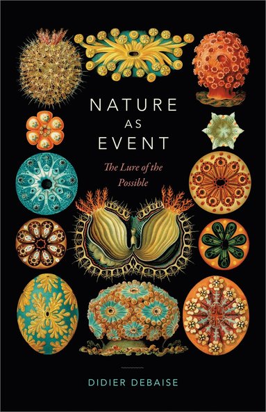 Didier Debaise - Nature As Event, Häftad