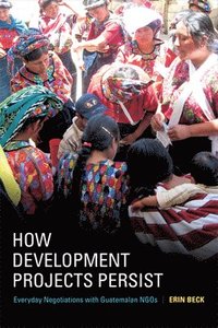 bokomslag How Development Projects Persist