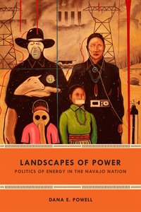 bokomslag Landscapes of Power: Politics of Energy in the Navajo Nation