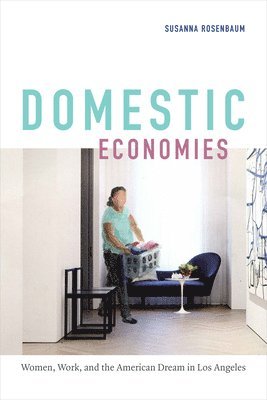 bokomslag Domestic Economies