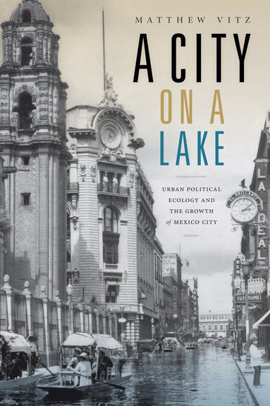 Matthew Vitz - City on a Lake, Inbunden