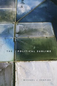 bokomslag The Political Sublime