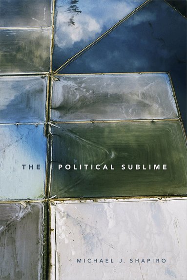 Michael J. Shapiro - Political Sublime, Inbunden