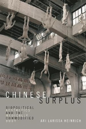 bokomslag Chinese Surplus