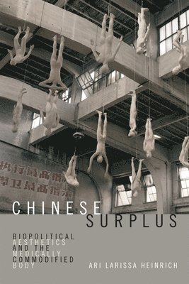 Ari Larissa Heinrich - Chinese Surplus, Häftad