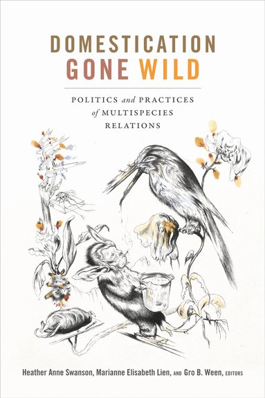 Heather Anne Swanson, Marianne Elisabeth Lien, Gro B. Ween - Domestication Gone Wild, Häftad