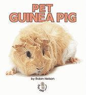 Pet Guinea Pig 1