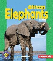 bokomslag African Elephants
