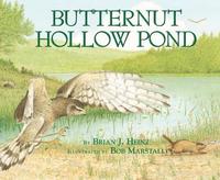 bokomslag Butternut Hollow Pond
