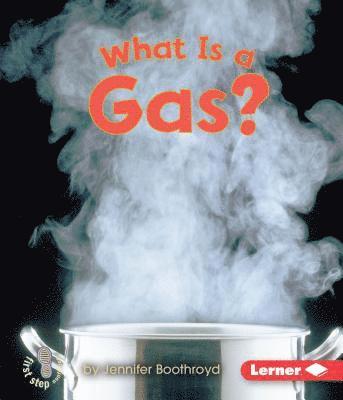 bokomslag What Is A Gas?