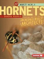 bokomslag Hornets: Incredible Insect Architects