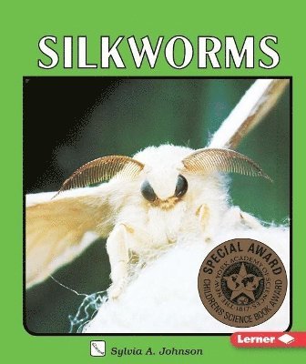 Silkworms 1