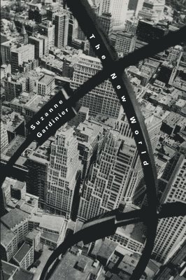 New World (Pitt Poetry Series)