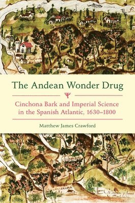 bokomslag Andean Wonder Drug, The