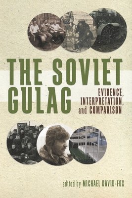 bokomslag The Soviet Gulag