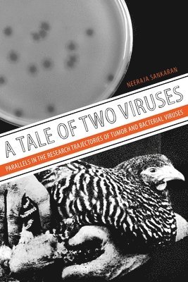 bokomslag Tale of Two Viruses