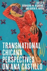 bokomslag Transnational Chicanx Perspectives on Ana Castillo