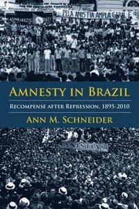 bokomslag Amnesty in Brazil