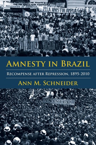 Ann M. Schneider - Amnesty in Brazil, Inbunden