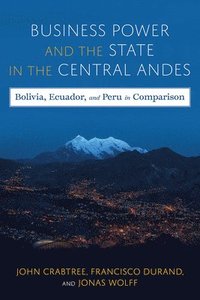 bokomslag Business Power and the State in the Central Andes
