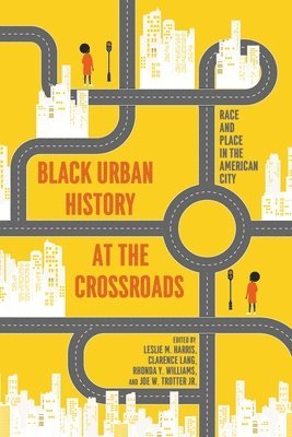 bokomslag African American Urban History from Past to Future